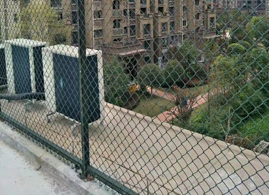 重慶球場蜜桃网站放大片